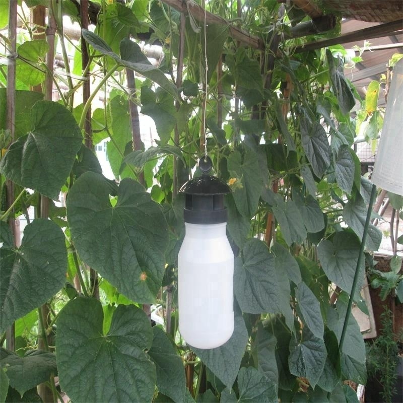 Best fruit fly trap from manufacturer