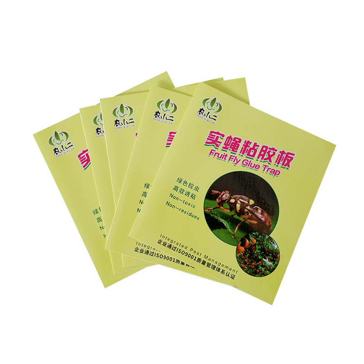 Flying Plant Insect Pheromone Glue Trap Yellow Sticky Fruit Fly Sticky Board 21.5*38.5cm