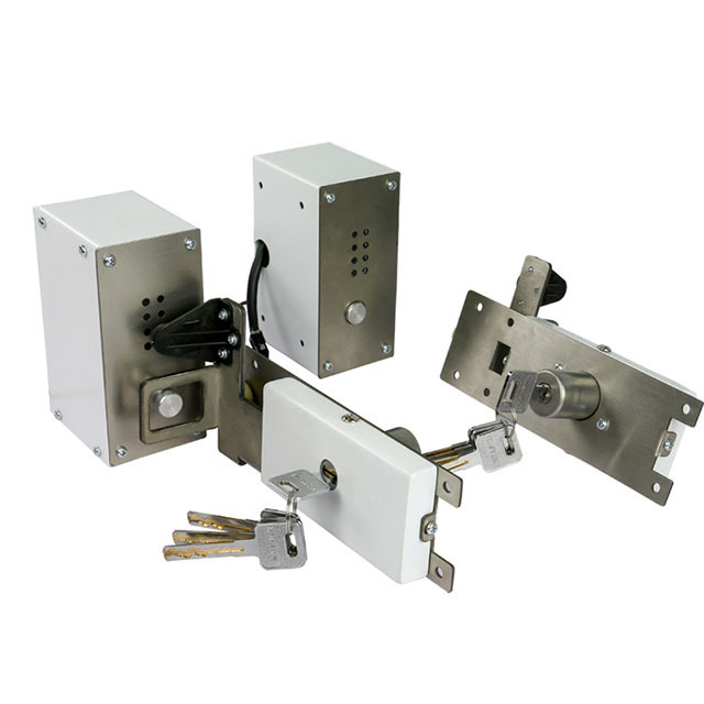 Anti-theft electronic side lock for rolling door gate lock door