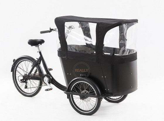 2024 New Coming Front Loading 3 Wheel Electric Tricycle Transport Adult Tricycle With Wood Case Electric Bike Cargo Trailer