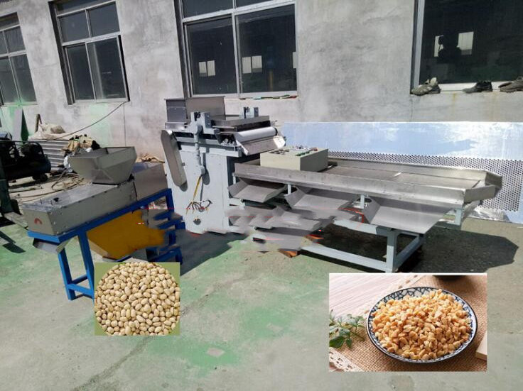 OEM Industrial Nut Cutting Machine Pressing Cutting Machine Almond Crushing Cutting Slicing Machine Nut Slicer