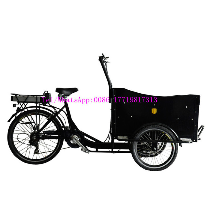 OEM High Capacity Family Cheap 3 Wheel Electric Pickup Truck for Adults Food Cargo OPEN Ce