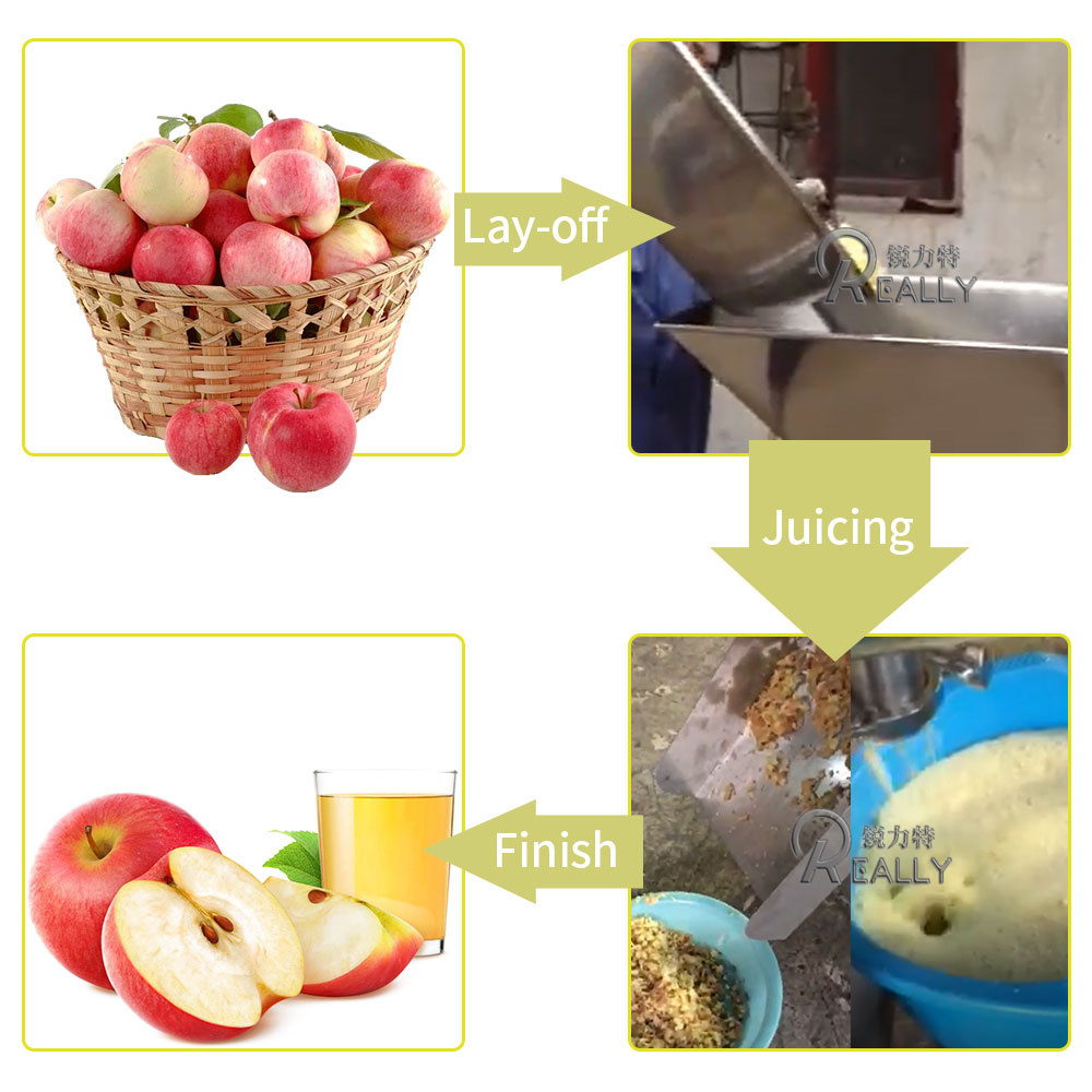 Fruit Juice Machine 0.5T/H 1.5T/H 2.5T/H Commercial Coconut Milk Extractor Juice Crusher