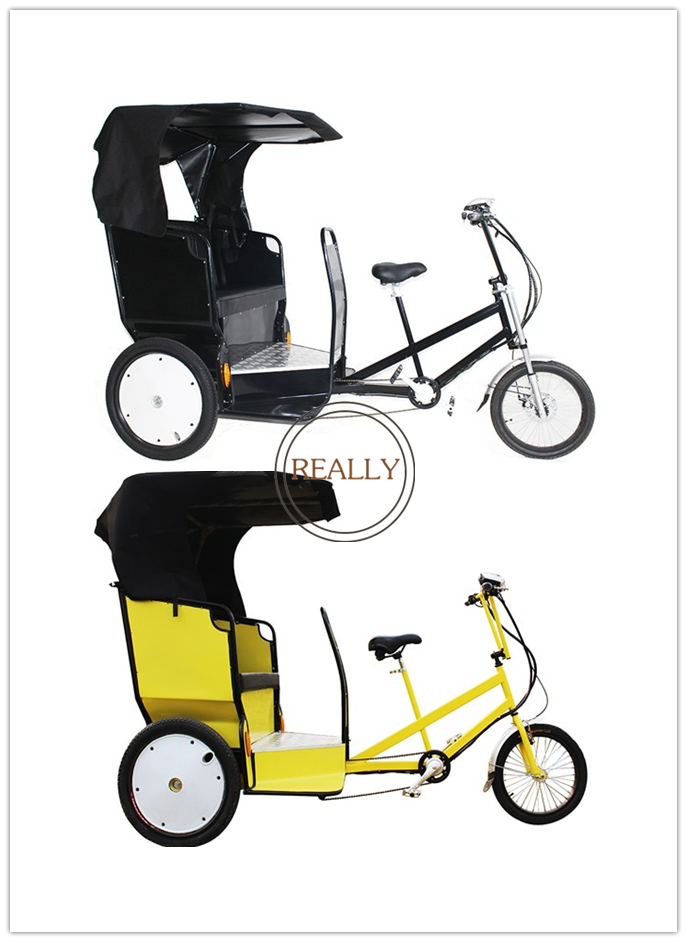 Factory Tricycle Electric Bike 2 Seat Adult Electric Tricycle Customized 3 Wheel Enclosed Electric Tricycle Motorcycle