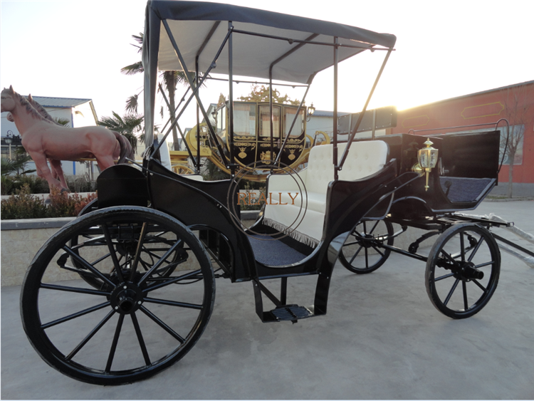 2024 Cinderella Car Manufacturer Electric Horse Carriage Wedding Electric Double Row Carriage For Sale