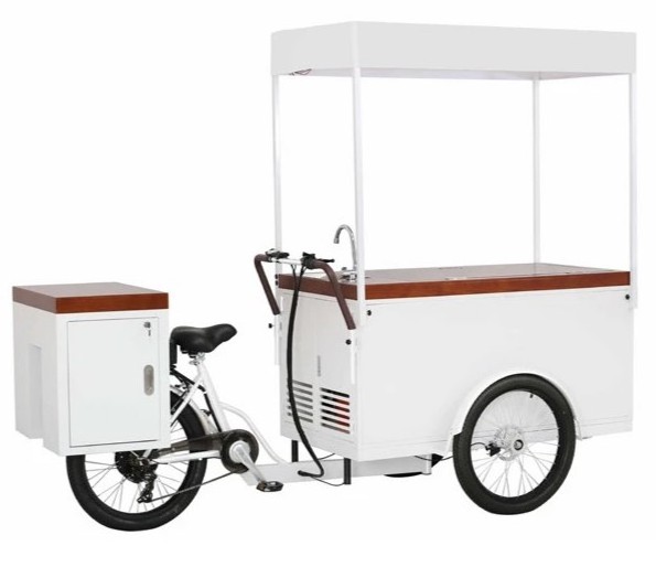 OEM Classical Freezer Bike Electric Ice Cream Tricycle With Battery Freezer Cargo Truck For Cold Drinks