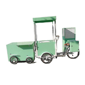 2024 Street Food Hot Dog Vending Tricycle 3 Wheel Electric Coffee Cart Bike for Sale Customized Cotton Candy Bicycle