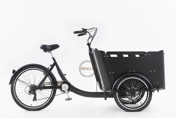 2024 New Coming Front Loading 3 Wheel Electric Tricycle Transport Adult Tricycle With Wood Case Electric Bike Cargo Trailer