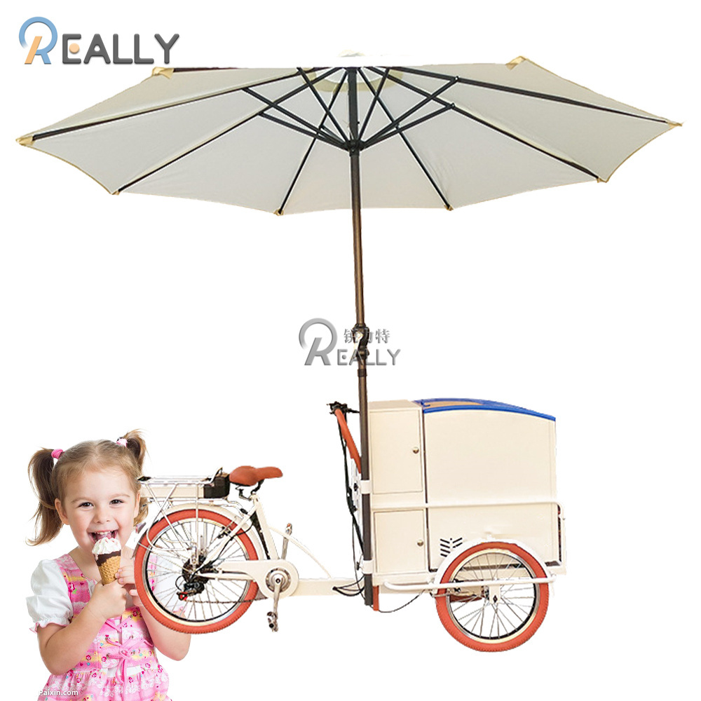 Long Range Electric Street Food Bike Popsicle Ice Cream Cart with Deep Freezer 12V Refrigerator Bicycle for Adults Tricycle