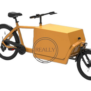 OEM 250w Mini Cargo Tricycle 2 wheel Electric cargo bicycle Shopping scooter Goods Coffee Bike for Sale