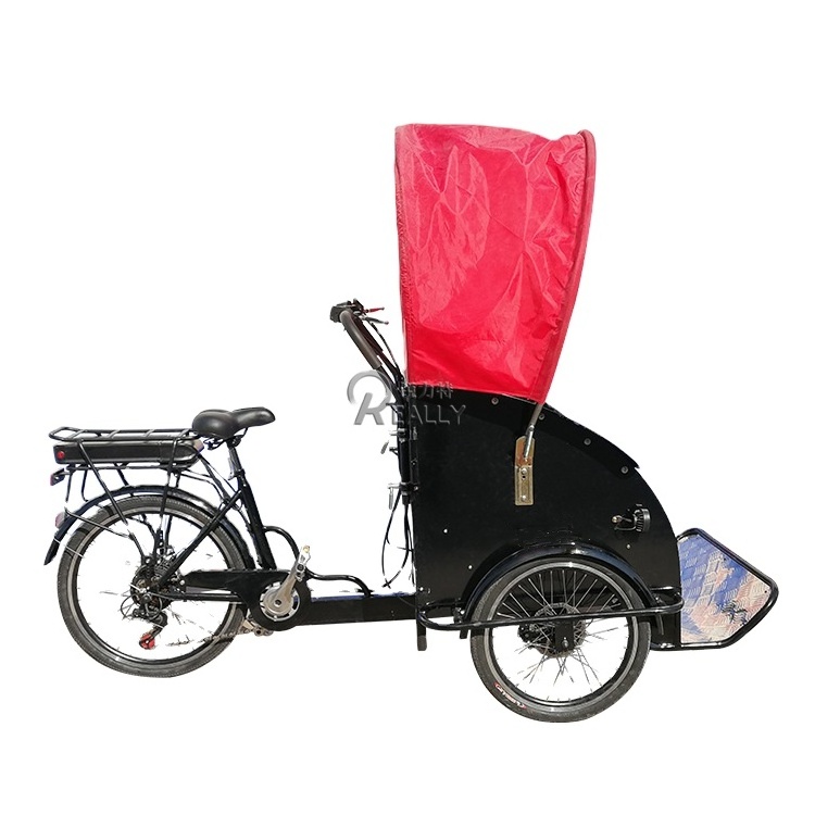 OEM Customized Electric Cargo Bike Rickshaw Adult Tricycles for Carrying Passengers