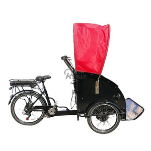 OEM Customized Electric Cargo Bike Rickshaw Adult Tricycles for Carrying Passengers