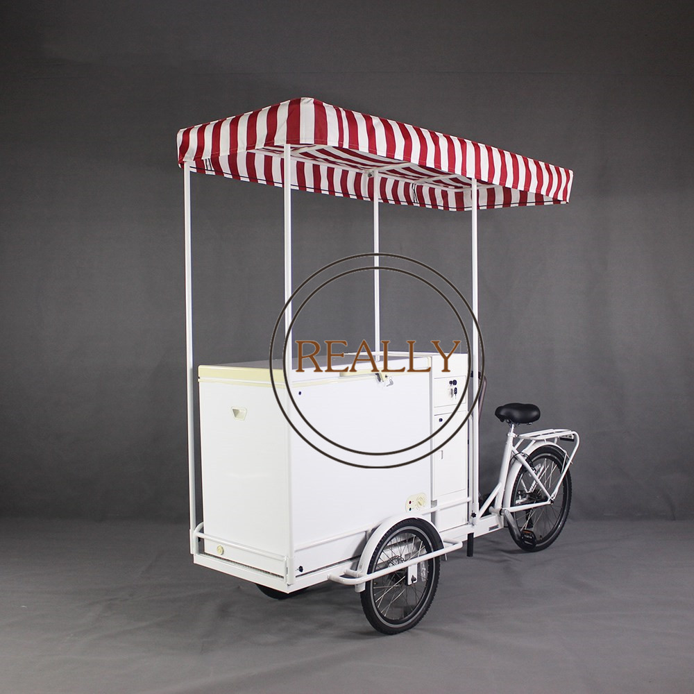 2022 Electric Ice Cream Tricycles 3 Wheels Adult Cargo Bike Freeze Tricycle Food Carts