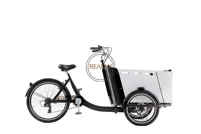 OEM 2021 New Electric Bike 3 Wheels Pedal Cargo Tricycle Aluminium Bicycle Frame For Sale