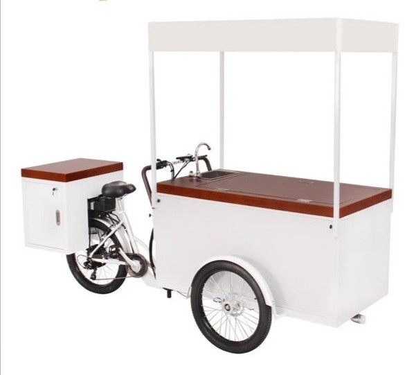 OEM Classical Freezer Bike Electric Ice Cream Tricycle With Battery Freezer Cargo Truck For Cold Drinks