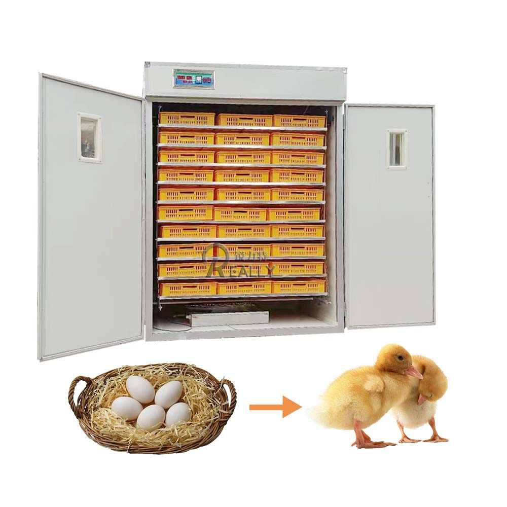 Discount 50000 Pcs New Egg Incubators Industrial For Hatching Eggs Automatic Incubator Turn