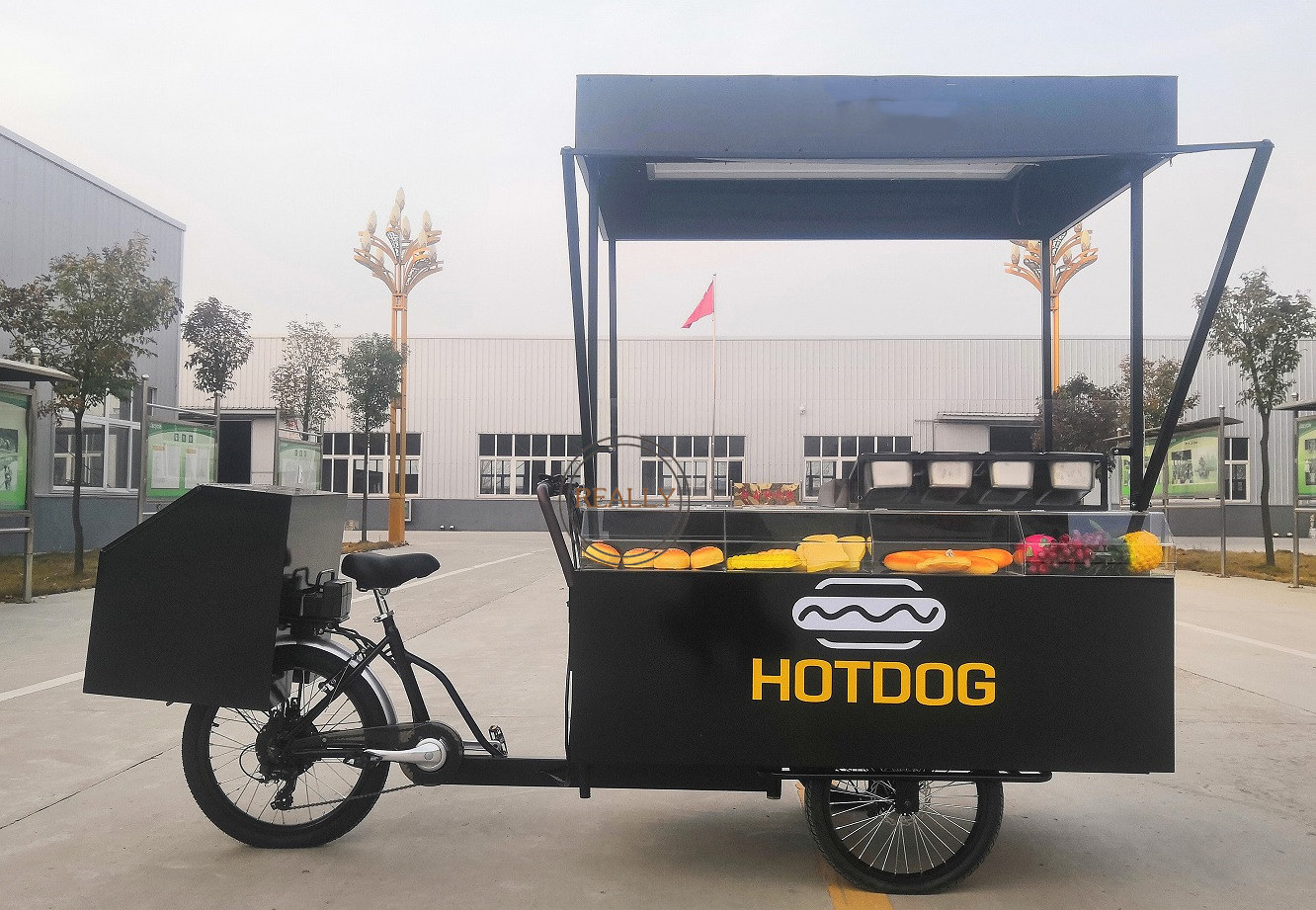 OEM Reverse Riding 3 Wheel Food Bike For Takeaway Mobile Sale Trike for Adults Pedal Tricycles Snack Electric Bicycle