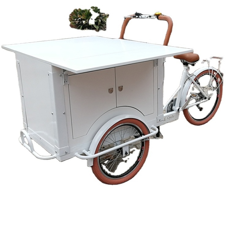 OEM Electric Passenger Tricycle Electric Scoter Tricycle Scooter Food Trolley Carts for Sale