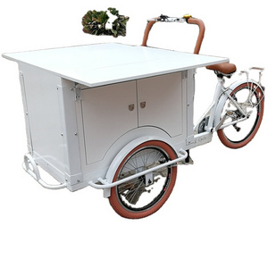 OEM Electric Passenger Tricycle Electric Scoter Tricycle Scooter Food Trolley Carts for Sale