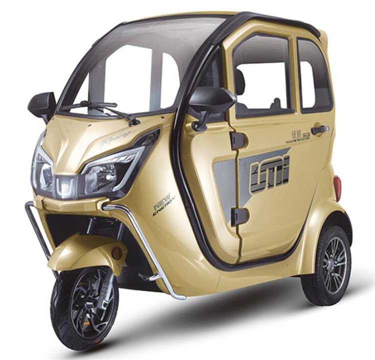 Enclosed Electric Tricycle Small 3 Wheel Cargo Scooter CE Approved E Rickshaw Load Passenger Tricycle with Storage