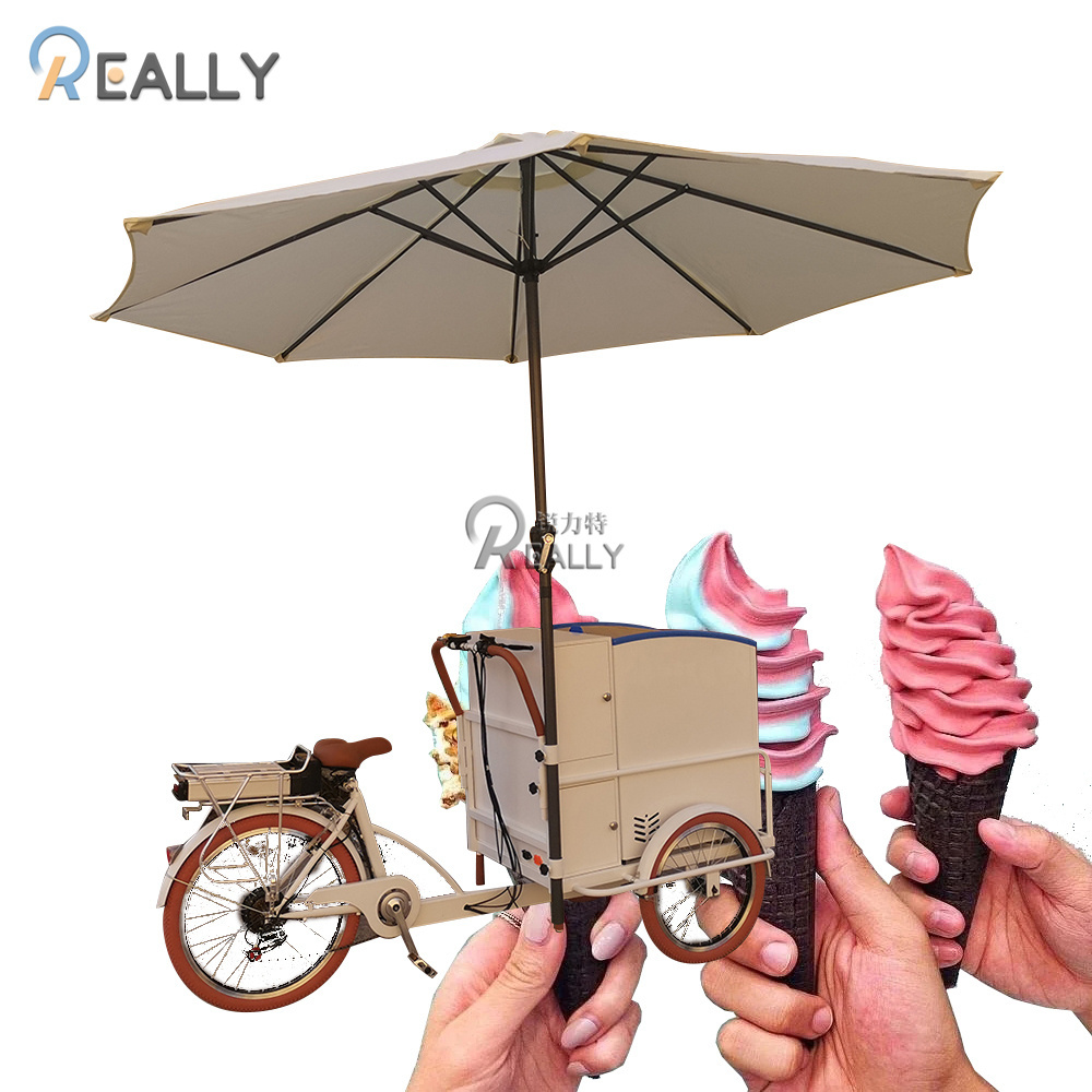 Long Range Electric Street Food Bike Popsicle Ice Cream Cart with Deep Freezer 12V Refrigerator Bicycle for Adults Tricycle