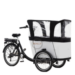 2024 New Coming Front Loading 3 Wheel Electric Tricycle Transport Adult Tricycle With Wood Case Electric Bike Cargo Trailer