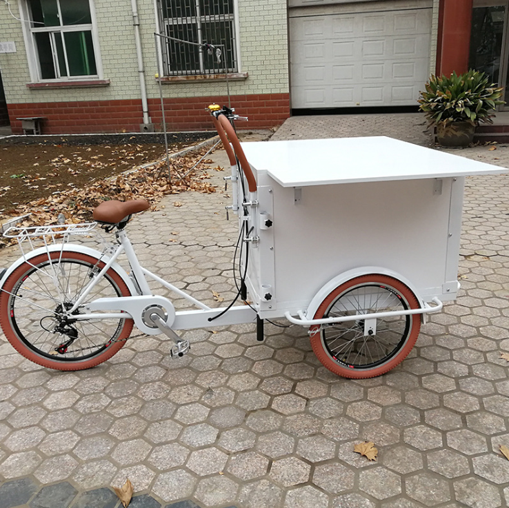 OEM Electric Passenger Tricycle Electric Scoter Tricycle Scooter Food Trolley Carts for Sale