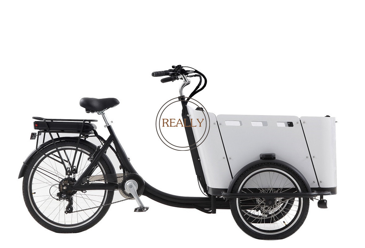 OEM 2021 New Electric Bike 3 Wheels Pedal Cargo Tricycle Aluminium Bicycle Frame For Sale