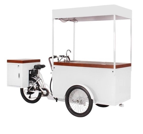 OEM Classical Freezer Bike Electric Ice Cream Tricycle With Battery Freezer Cargo Truck For Cold Drinks