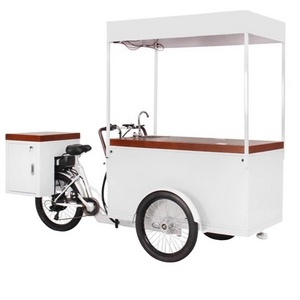 OEM Classical Freezer Bike Electric Ice Cream Tricycle With Battery Freezer Cargo Truck For Cold Drinks