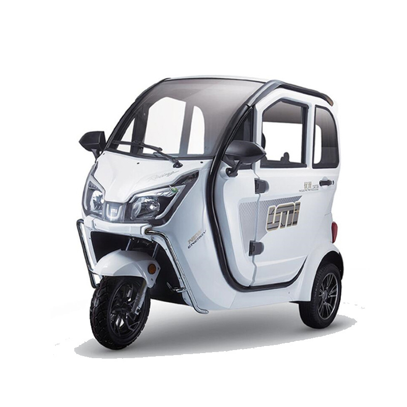 Enclosed Electric Tricycle Small 3 Wheel Cargo Scooter CE Approved E Rickshaw Load Passenger Tricycle with Storage