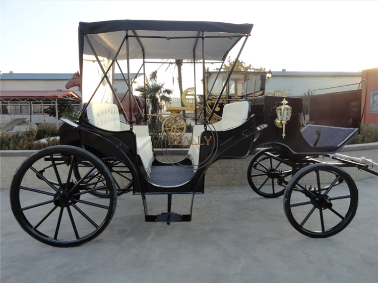 2024 Cinderella Car Manufacturer Electric Horse Carriage Wedding Electric Double Row Carriage For Sale