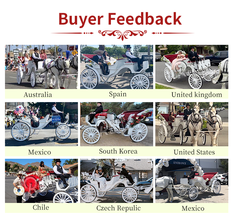 OEM Luxury Horse Cart Four Wheels Sightseeing Electric Royal Horse Carriage For Sale Can Customized Color And Logo