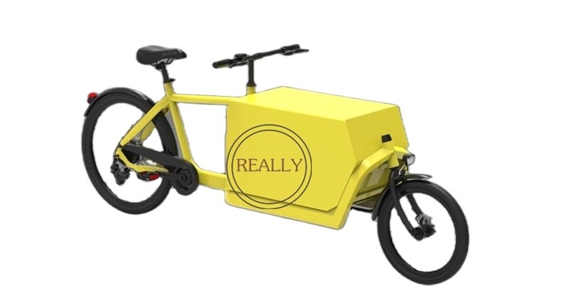 OEM 250w Mini Cargo Tricycle 2 wheel Electric cargo bicycle Shopping scooter Goods Coffee Bike for Sale