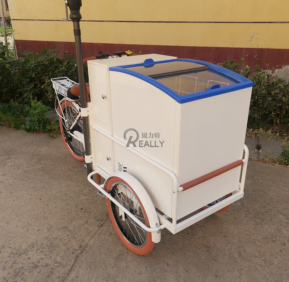 Long Range Electric Street Food Bike Popsicle Ice Cream Cart with Deep Freezer 12V Refrigerator Bicycle for Adults Tricycle