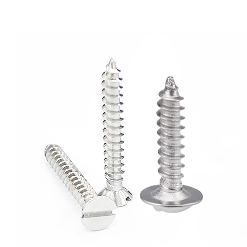 Stainless Steel SS304 SS316 Half Thread Full Thread Wood Screw Lag Screw Self-Tapping Screw