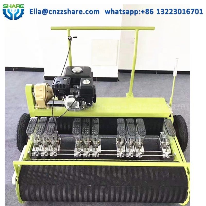 Push Carrot Hand Seeder  Onion Seed Planting Machine