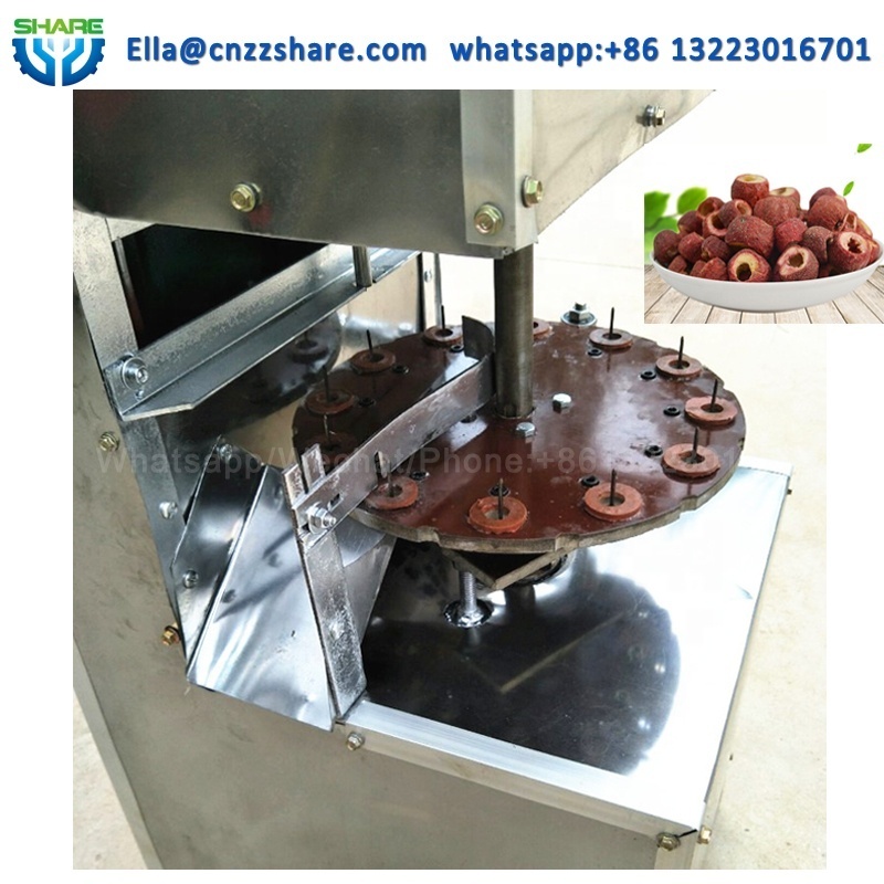 Dry Dates Pitting Fruit Kernel Removing Machine Jujube Seed Remove Machine