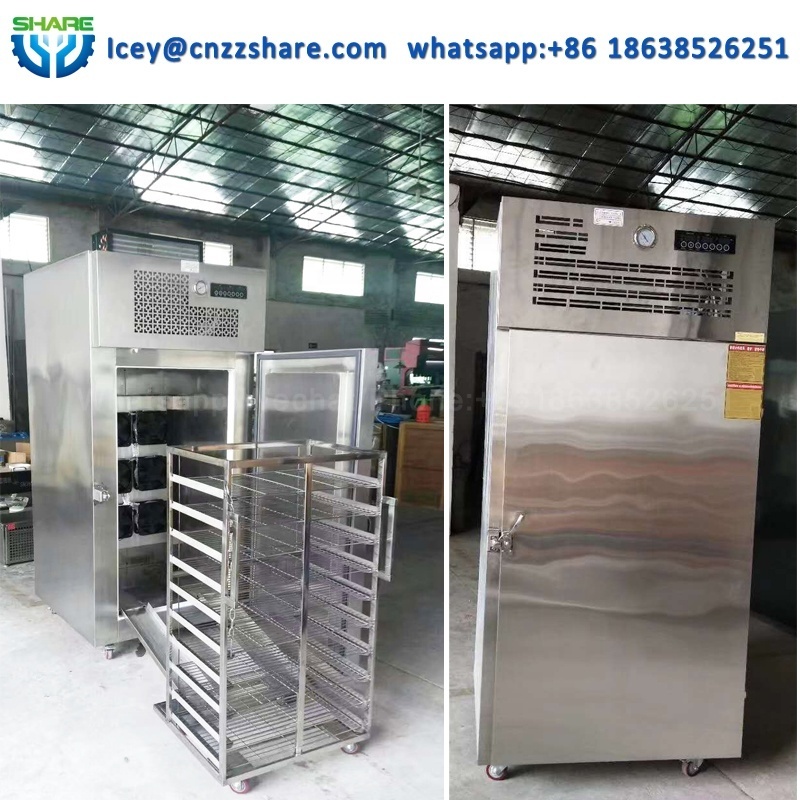 Iqf Fruit Strawberry Quick Freezing Machine Price