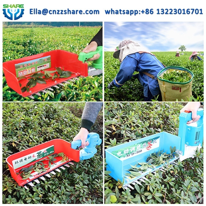 Mini Tea Leaf Picker Tea Leaf Plucking Machine Harvester