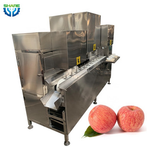 Multi Functional Apple Peeling Coring Machine Electric Apple Peeler Corer Slicer