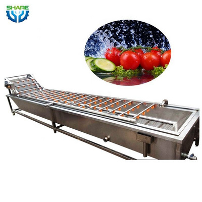 Automation Cherry Tomatoes Washing Machine Fruit and Vegetable Cleaner