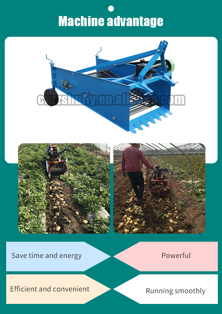 Carrot Sweet Potato Harvester 3 Point Potato Digger 2 Rows