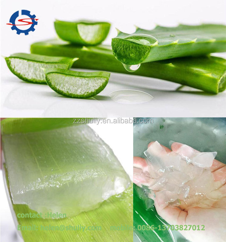 Stainless Steel Aloe vera Peeling Machine /Cactus Processing Machine