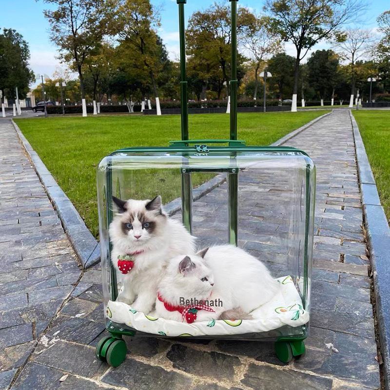 50cm Wide and Large Capacity Mute Wheels Transparent Cat Dog Stroller Wheels Cat Puppy Luggage Boxes Pet Suitcase Carrier