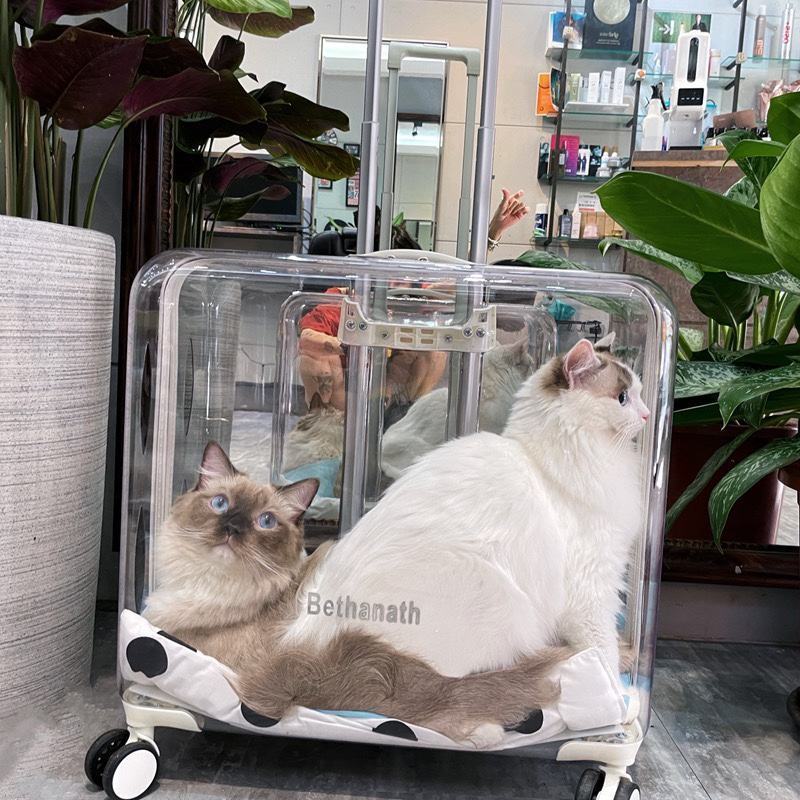 50cm Wide and Large Capacity Mute Wheels Transparent Cat Dog Stroller Wheels Cat Puppy Luggage Boxes Pet Suitcase Carrier