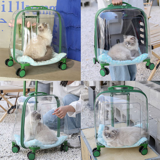 Hot sale outdoor cat dog travel luggage suitcase large capacity transparent pet trolley bag bubble pet travel carrier on wheels