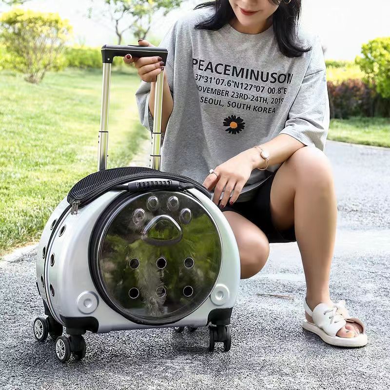 Trolley Luggage Transparent Bubble Pet Cat Bag New Puppy Outing Transport Box Outdoor Travel Dog Crate With Wheels