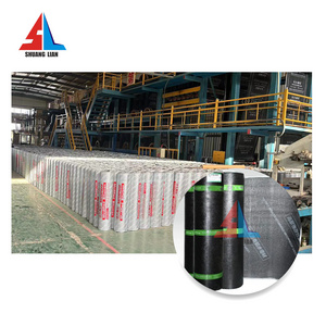 3Mm Thickness High Quality Sbs Modified Asphalt Roofing Membrane/Felt Easy Construction Waterproof Membrane