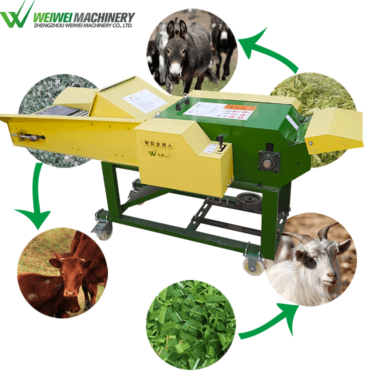 Weiwei corn grinder large-flowered tickseed stalk chopper cattle finishing ration bulk cow feed near me